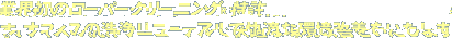 �ƊE���̃��[�p�[�N���[�j���O(R)����